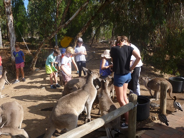 Perth's favourite day trip - John Forrest National Park