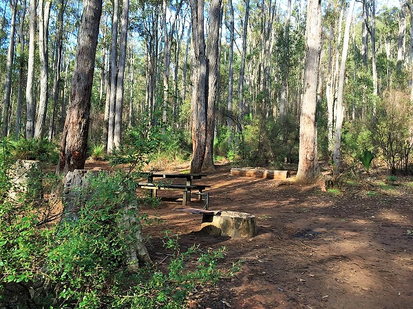 Camping at Lane Poole Reserve
