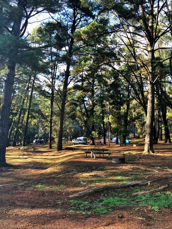 Camping at Nanga Mill at Lane Poole Reserve