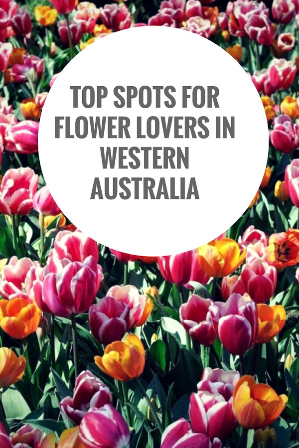 Top spots for flower lovers in Western Australia