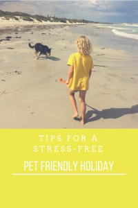 Tips for a stress free pet friendly holiday