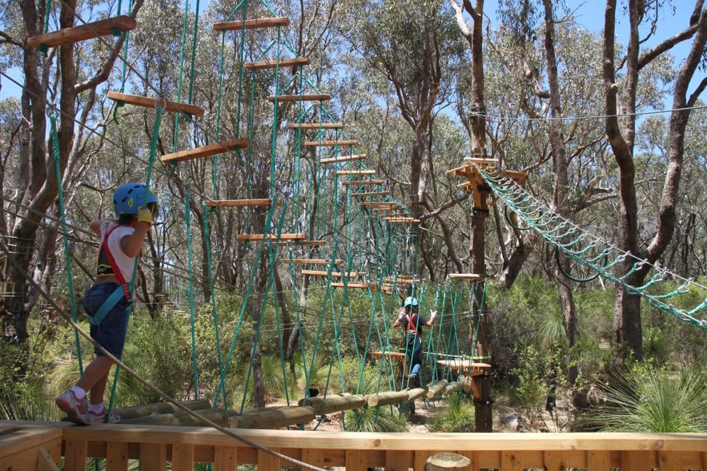 Hanging out at Yanchep Trees Adventure - West Australian Explorer