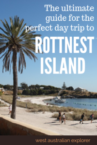rottnest island day tours